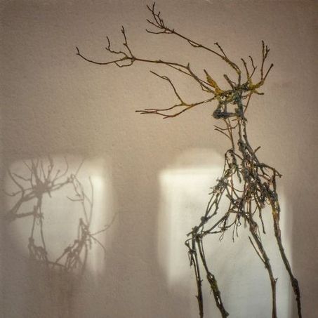 Anne Kuprat Anne Kuprat